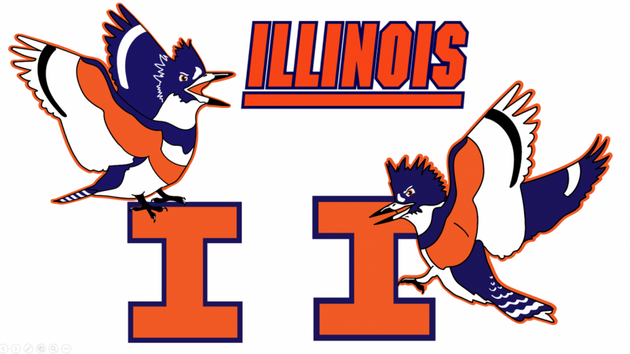 A pair of flying Belted Kingfisher graphics with Block Is