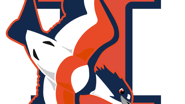 A flying Belted Kingfisher with the Illinois Block I in the background