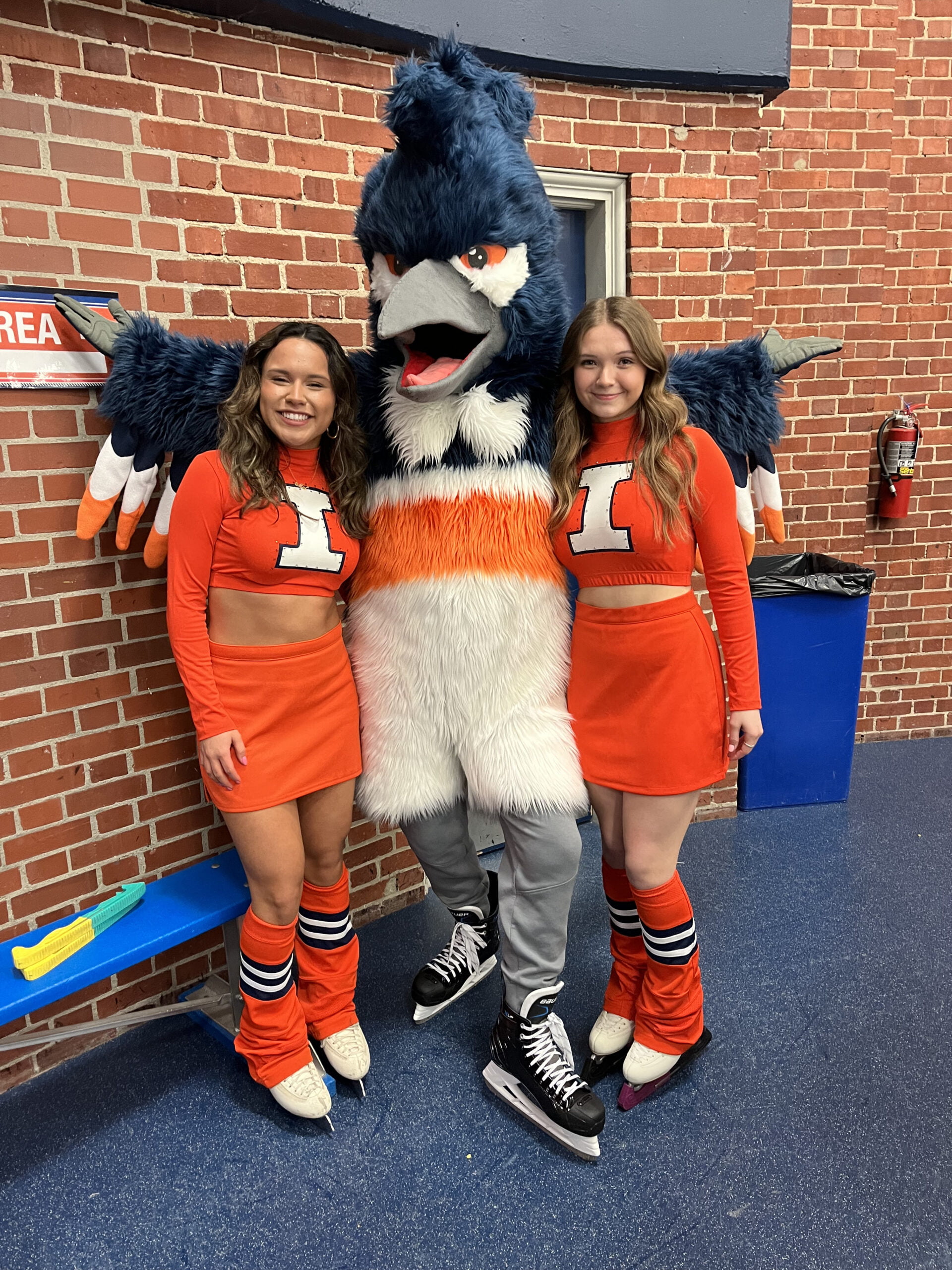 The Belted Kingfisher posing next to two Illinois ice girls