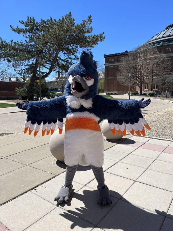 The Belted Kingfisher mascot posing in front of Foellinger Auditorium