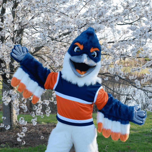 The Belted Kingfisher mascot posing in front of a beautiful cherry blossom tree