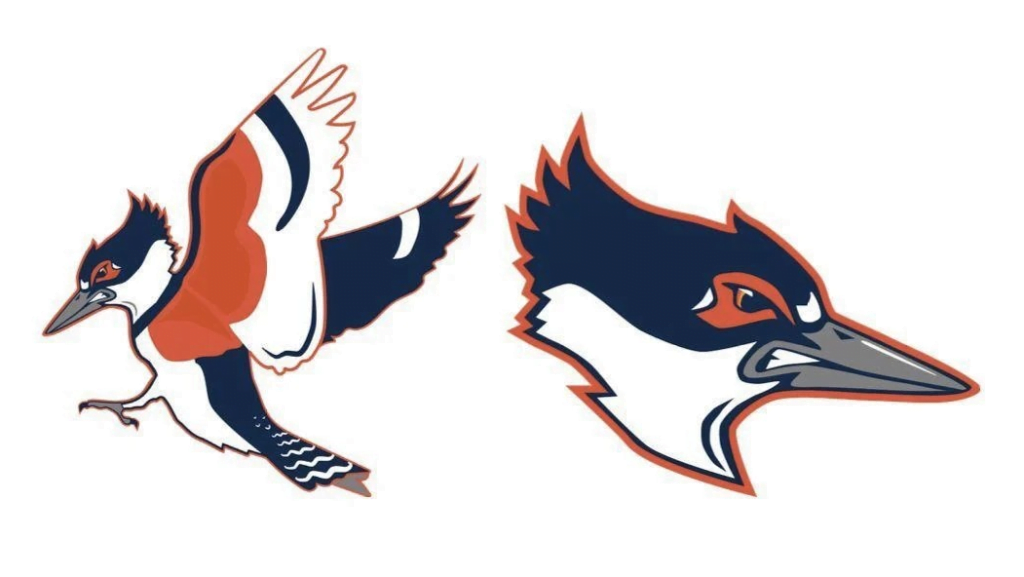 A pair of Belted Kingfisher graphics