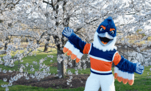 The Belted Kingfisher mascot posing in front of a beautiful cherry blossom tree