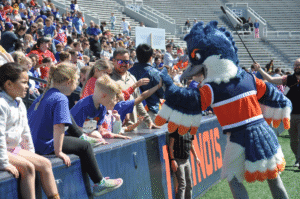 Belted Kingfisher high-fiving people in the football stadium