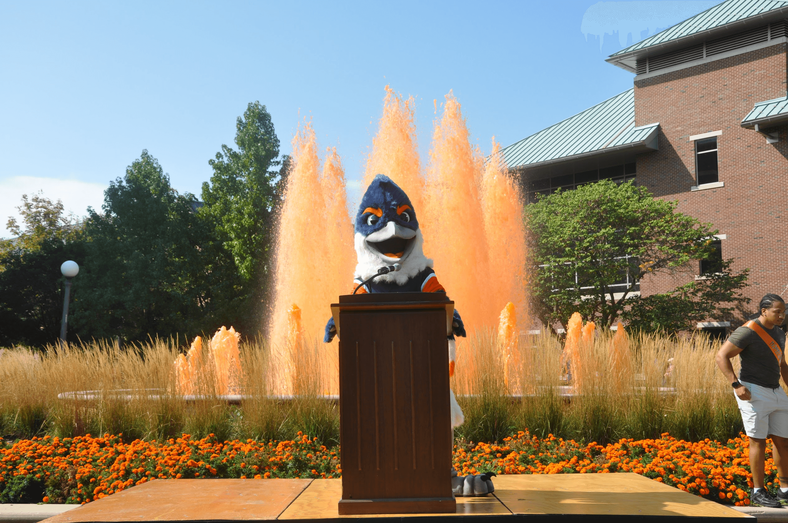 Belted Kingfisher behind a lectern in front of an orange-dyed fountain