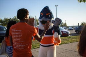 Belted Kingfisher getting ready to high five a student in an orange T-shirt