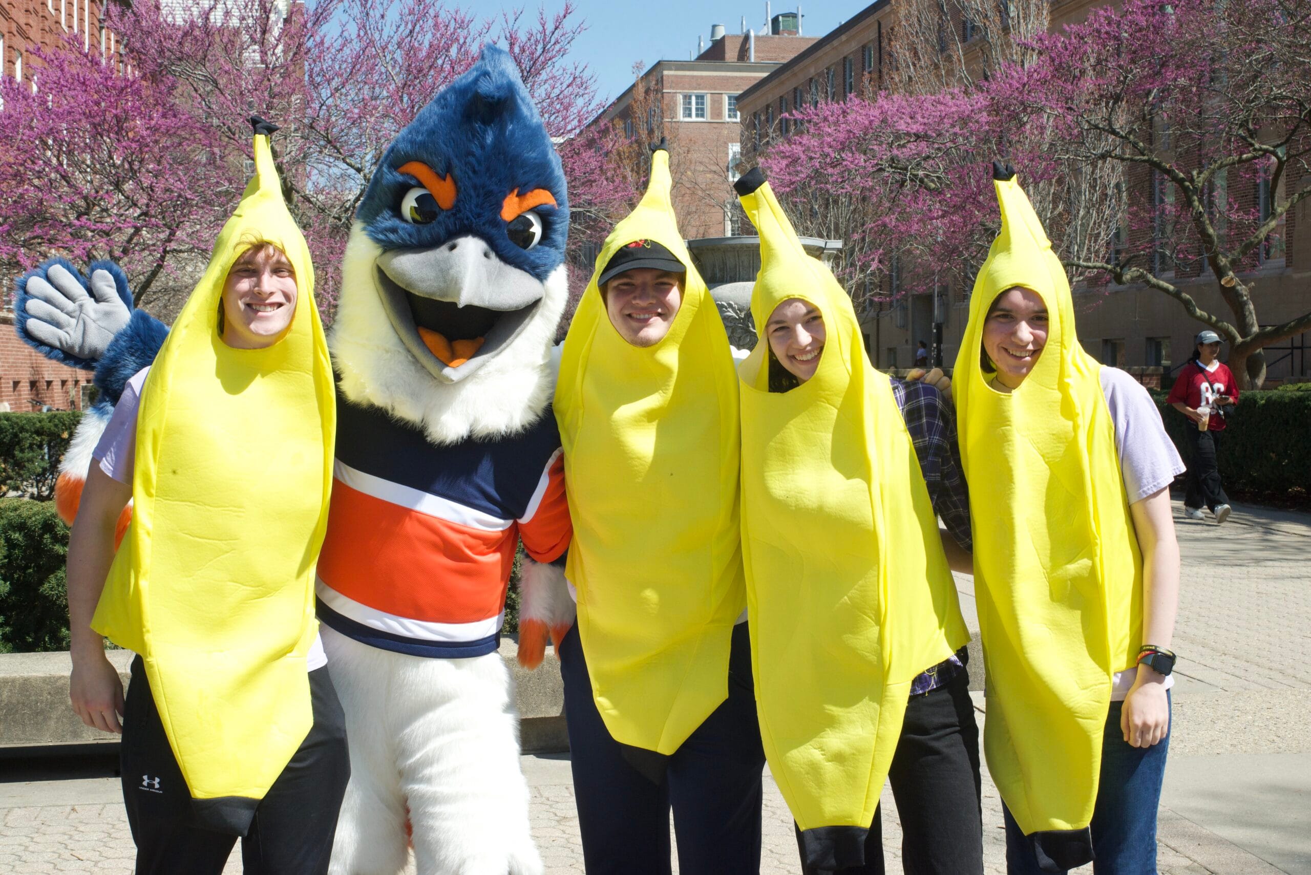Belted Kingfisher posing with four students in banana suits