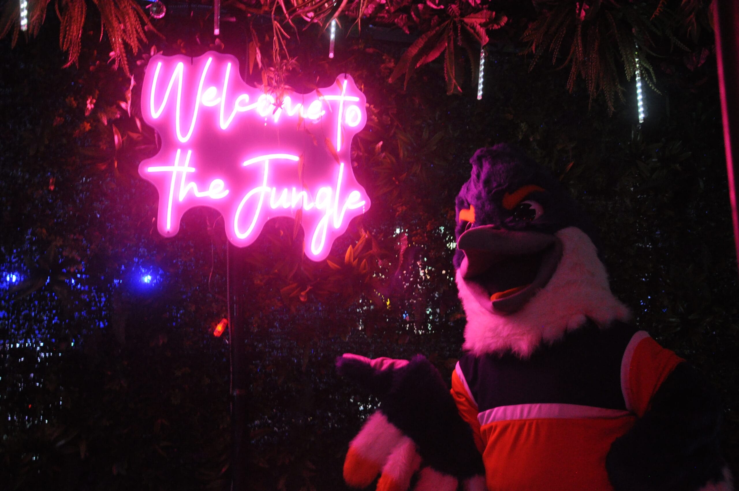 Belted Kingfisher posing next to a pink neon sign that reads "Welcome to the Jungle"