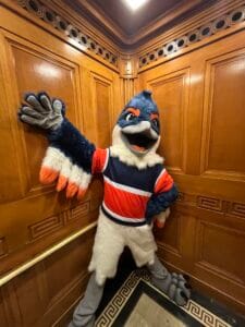 Belted Kingfisher posing in an elevator, with a fisheye lens effect