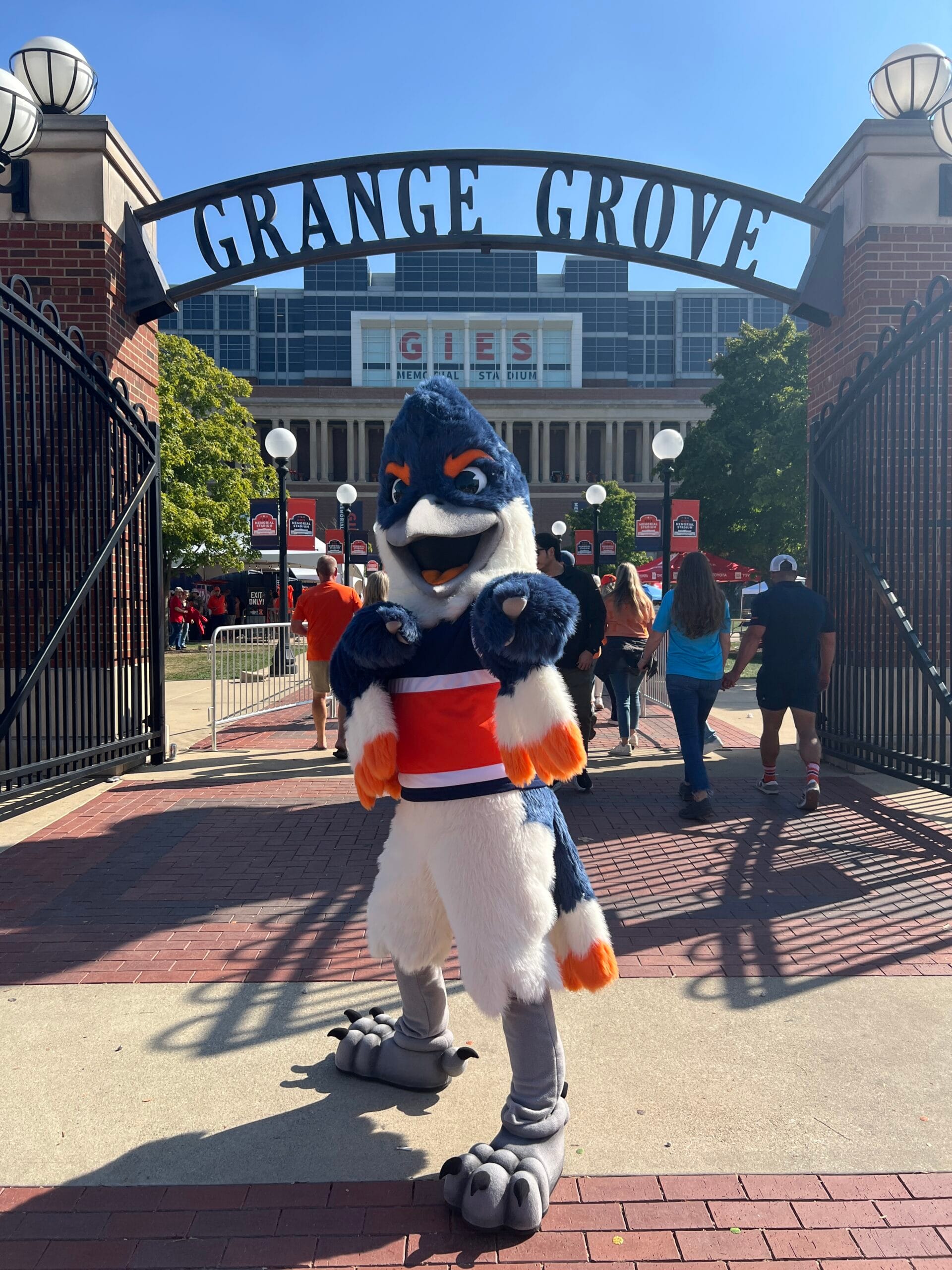 Belted Kingfisher pointing towards the camera in front of Grange Grove sign