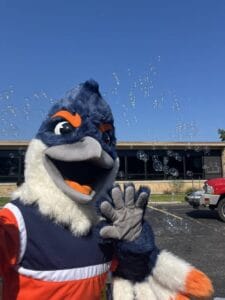 Belted Kingfisher posing in front of a bunch of bubbles at a parking lot