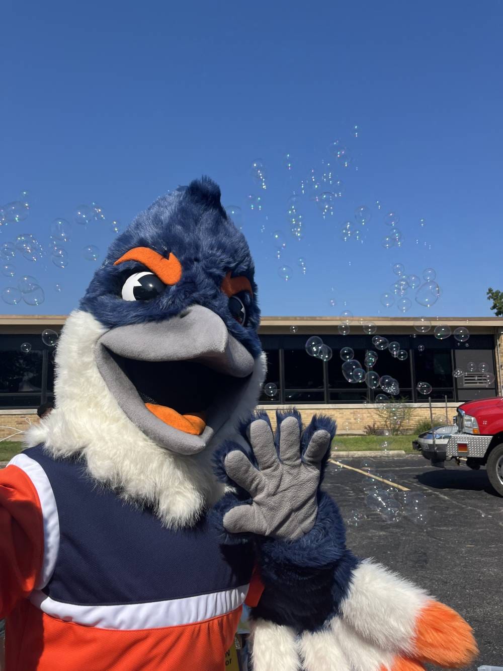 Belted Kingfisher posing in front of a bunch of bubbles at a parking lot