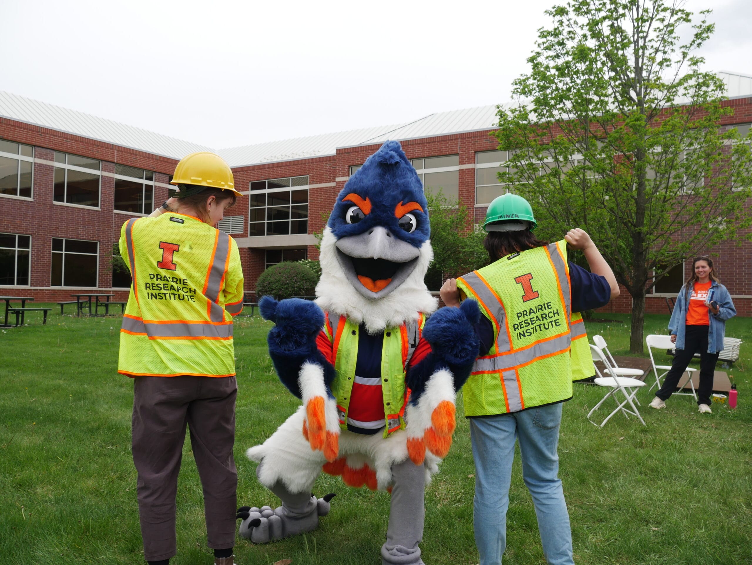 Belted Kingfisher pointing towards the camera while wearing a safety vest, between two people in safety vests with their backs turned towards the camera. The vests read "Prairie Research Institute"