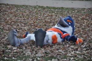 The Belted Kingfisher mascot lying in a pile of fall leaves