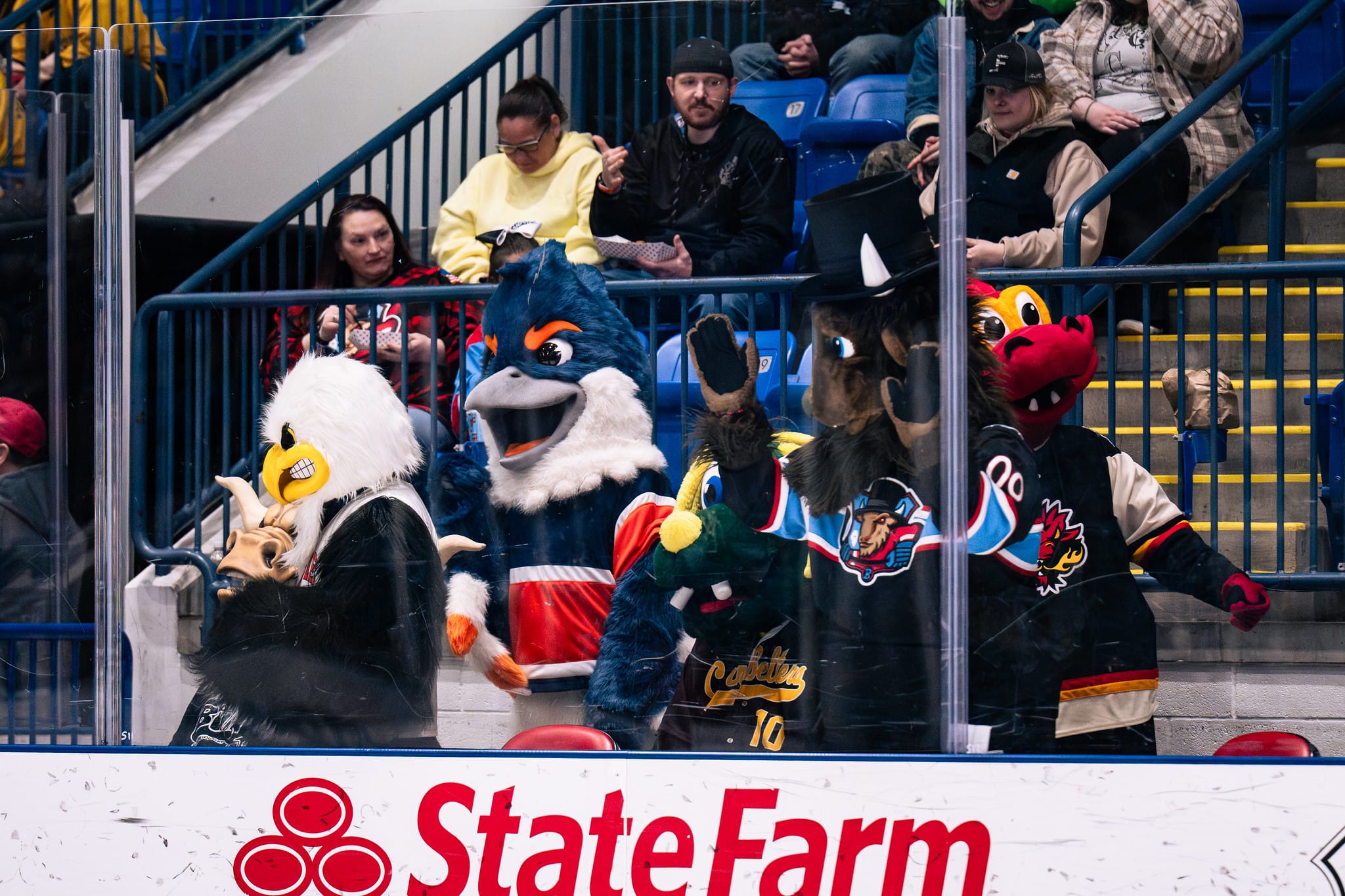 The Belted Kingfisher at the side of a hockey rink with other mascots
