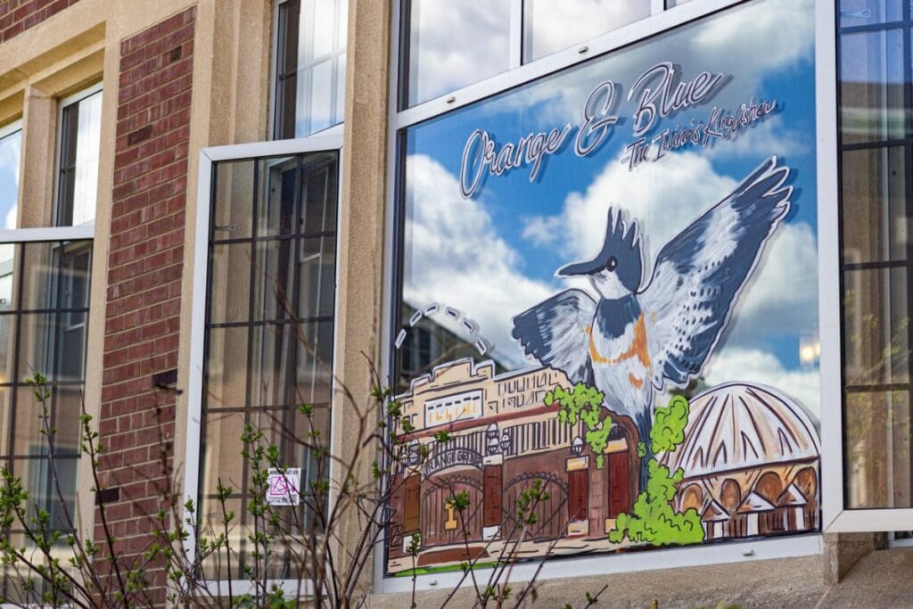Mural of the Belted Kingfisher on the window of the University YMCA