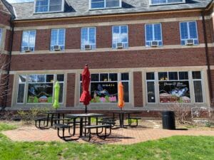 A mural featuring the Belted Kingfisher with the text "Naturally true to the orange and blue" on the windows of the University YMCA