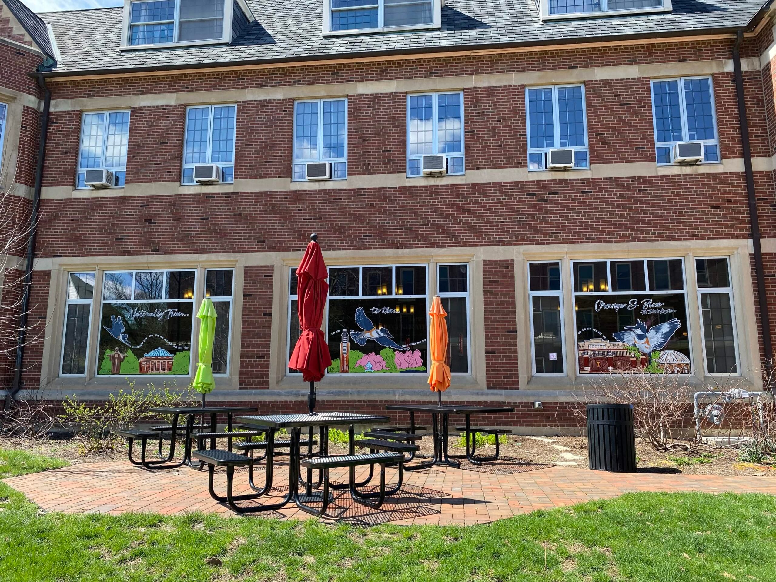 A mural featuring the Belted Kingfisher with the text "Naturally true to the orange and blue" on the windows of the University YMCA